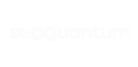 seo quantum